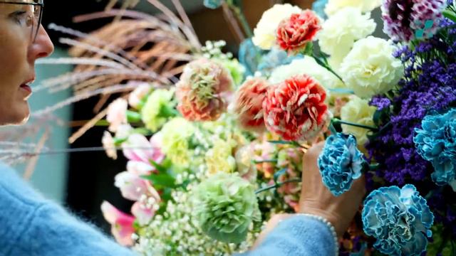 Cut Flower Introductions 2022- Dianthus