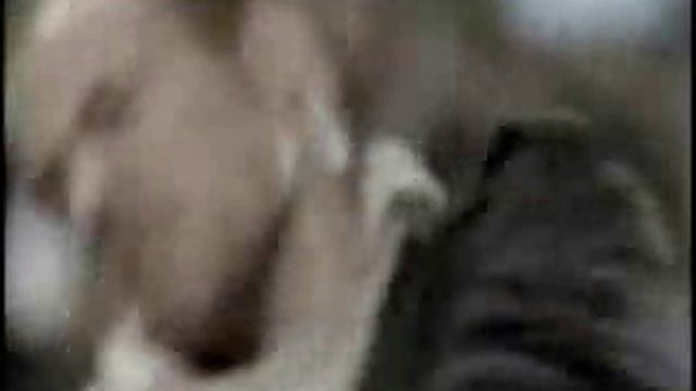 Ну оооочень старая реклама XBOX и классная