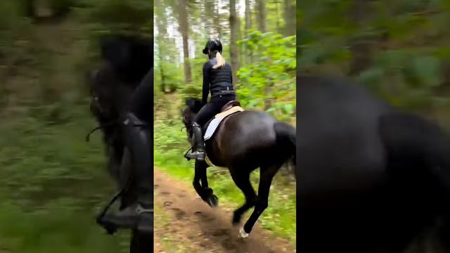 4bc401d15fb8a01a2fd76f007d1e2d82