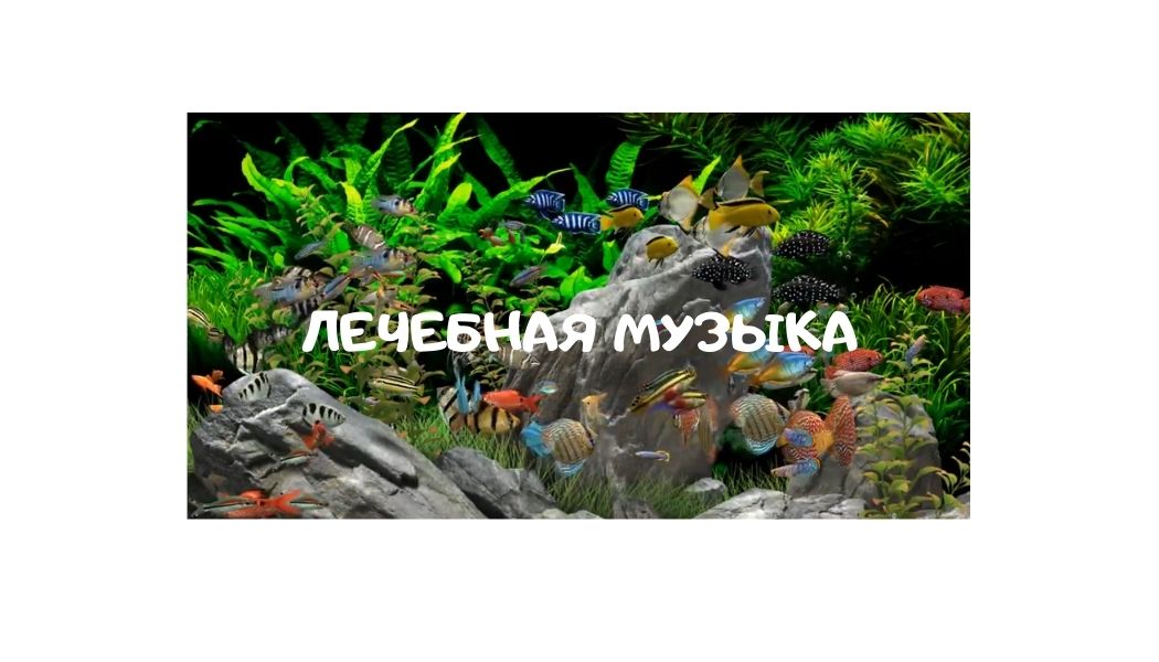 ЛЕЧЕБНАЯ МУЗЫУА
