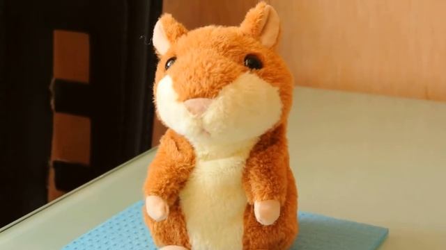 A22c5b8356631560ed29b2fba071717f