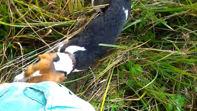 85c6233ba7290e921bb9e65973692bd8