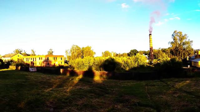 фрагмент с удивленными котиками, догонялки.