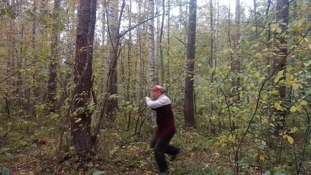 Цигун Грибной