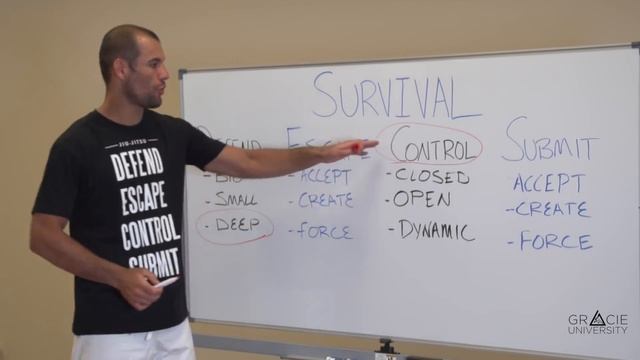 The 4 Elements Of Jiu-Jitsu