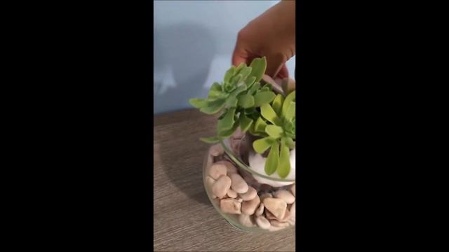 Centrotavola Fai Da Te Piante Grasse