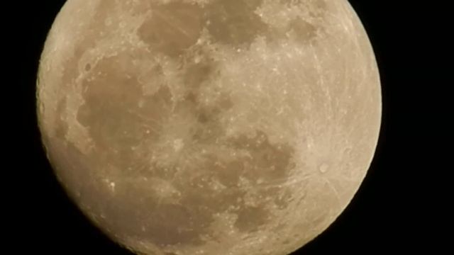 Luna - Nikon Coolpix P500