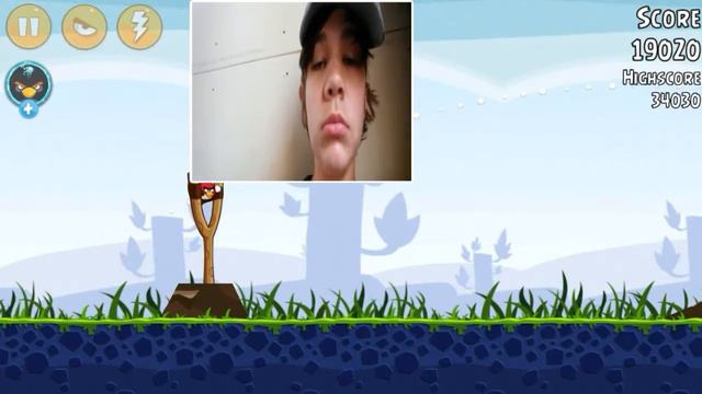 CHARGE THE PIGS/ Angry Birds #2