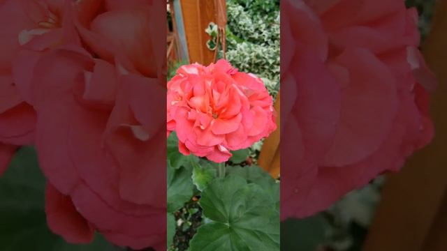 33acd92030789346aadeceecf740a7ff