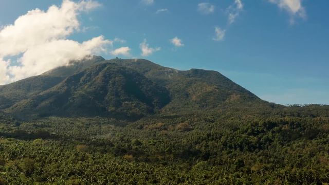 48d21fd6bf0d595f414cc0fb4b55c83b