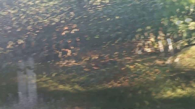 1feada286de3507aa83f140d17724758