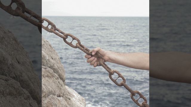 Гармоническое путешествие