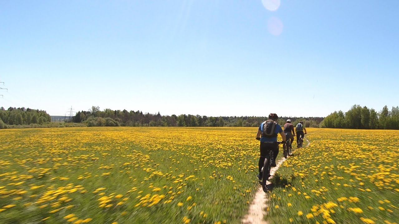 B027810da3bf25a77b3c2545af2fc3d2