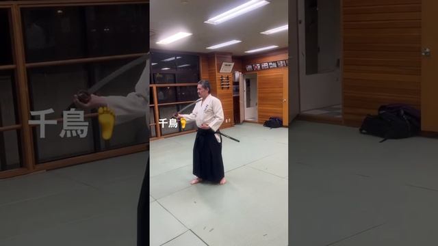 居合道Iaido