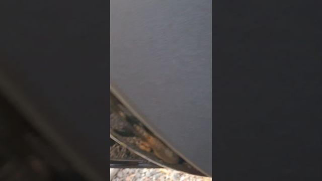 Volvo: Творческие идеи и стиль