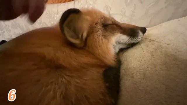 Танцы и эмоциональное выражение