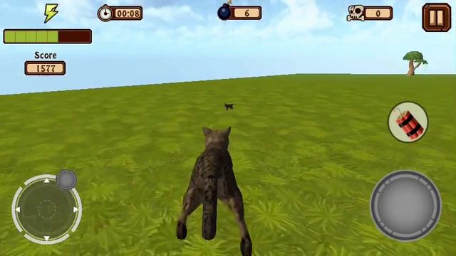 #Catty Cat World 1 Я с головой не дружу)))