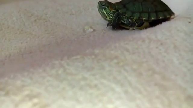 1b65191197d68d9cdda15d0f39f15e9e