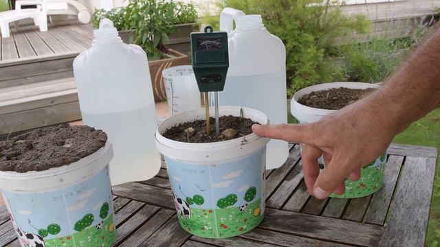 Dois-je Arroser Mes Cultures Du Potager ? Comment Tester L'humidité Du Sol ?