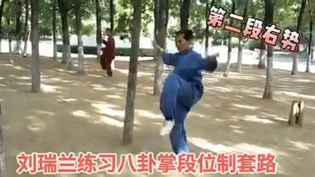 Вице-президент Ассоциации багуачжан округа Цао провинции Шаньдун Лю Жуйлань (刘瑞兰) практикует багуа.