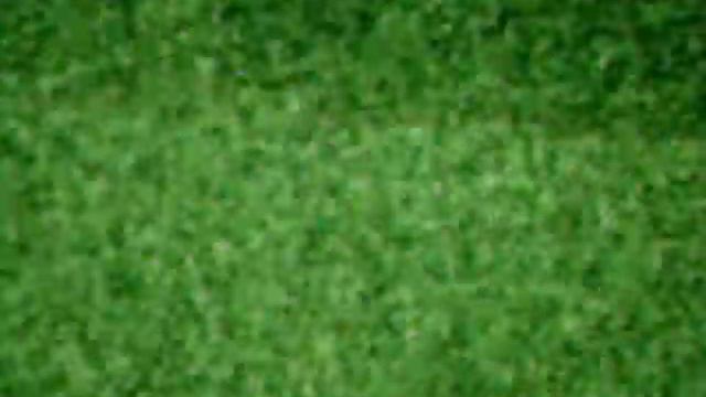 Fifa 11:errore Del Gioco 2