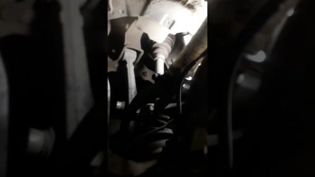 Honda-шоу-бизнес