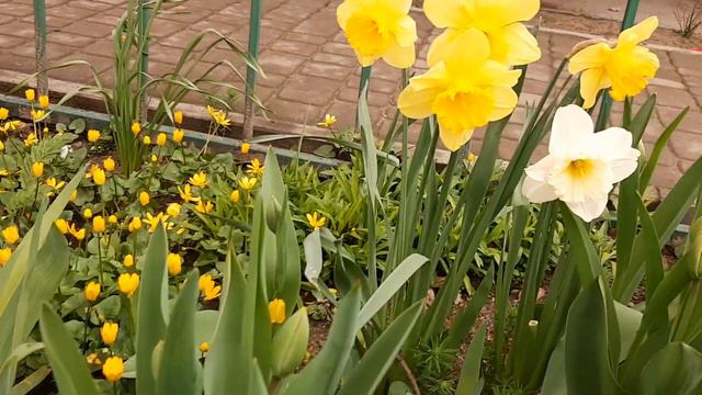 1afff964e233c324007573c850b91d55