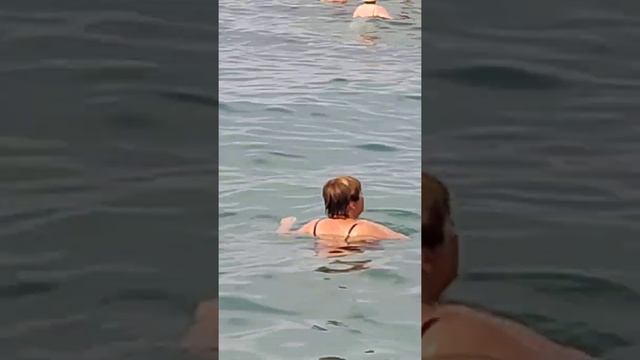 Море,Абхазия,кормят рыбок.