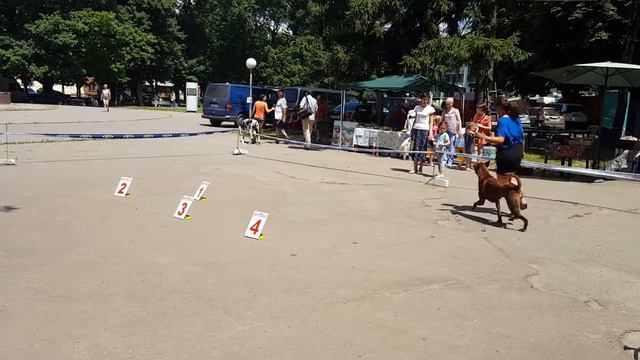 Полтава 2016