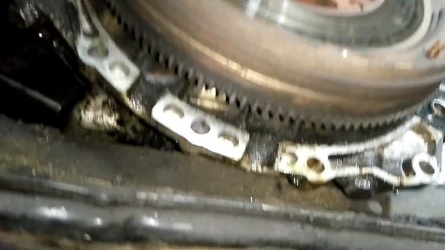 Грибной мир: лесные прогулки