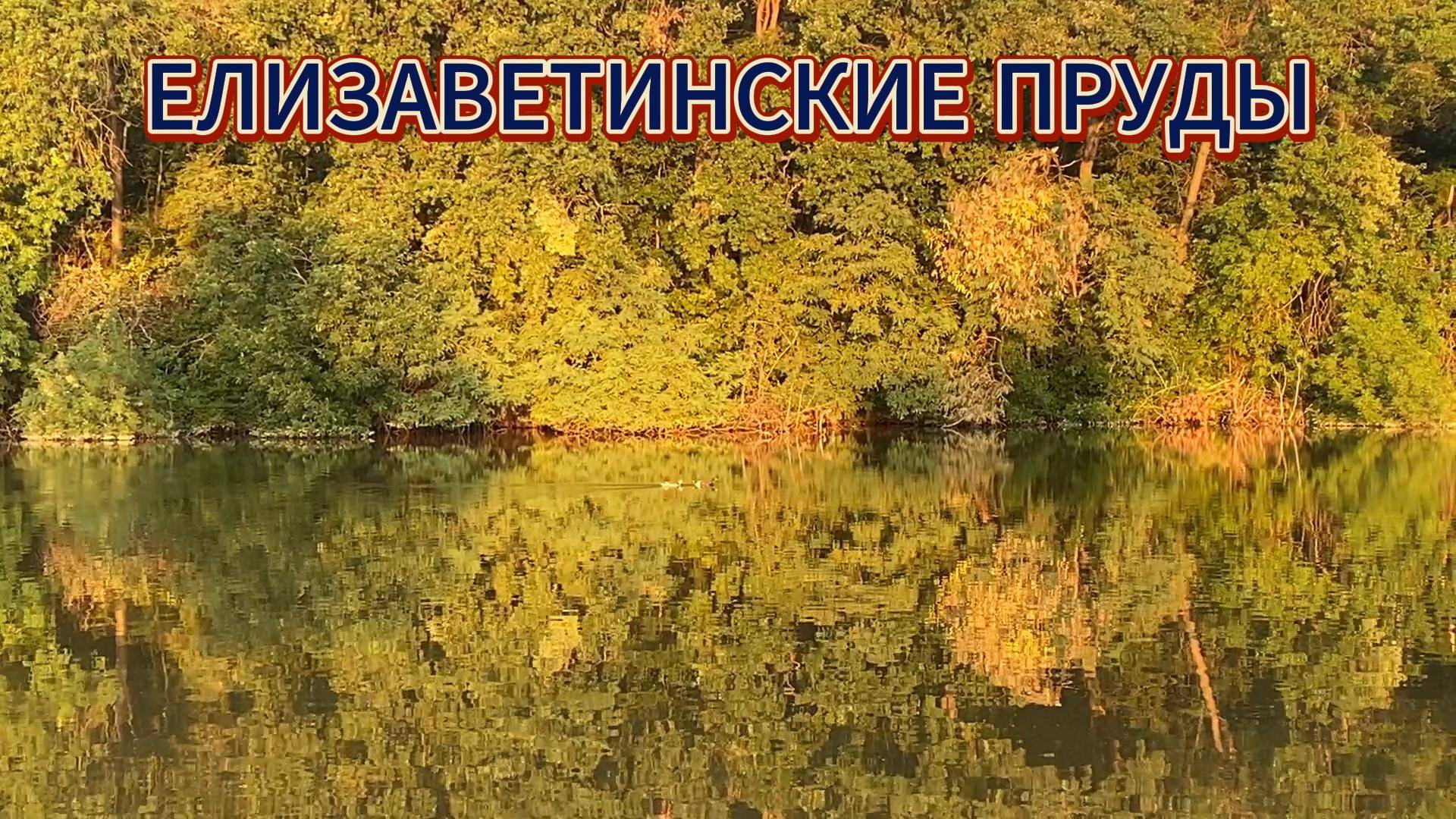 ЕЛИЗАВЕТИНСКИЕ ПРУДЫ! Краснодарский край. Семейный отдых.