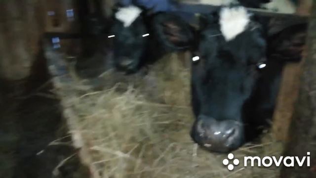 73dd3512b4687934d9f9d7951328d8c3