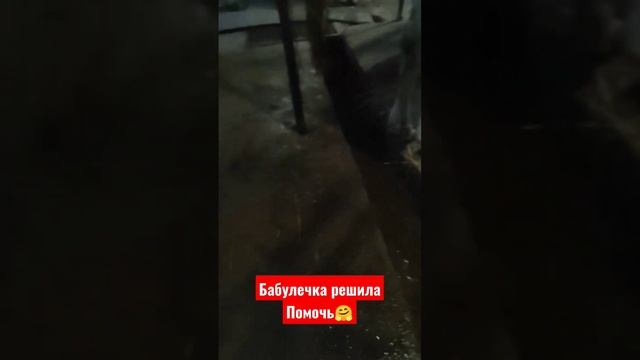 #деревенскаяжизнь #деревня #короткиевидео #село #подпишись #лайк #селяночка #корова