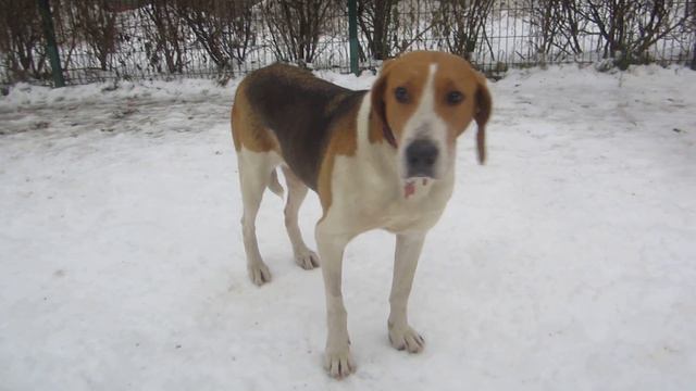 ЛЯЛЕЧКА ОТВЕРГАЕТ ЮТОВЫ УХАЖИВАНИЯ