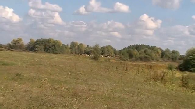 Загадочные реки