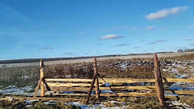5 ноября плюс 4 на улице улья с пчелами с супругой стаскали в омшаник
