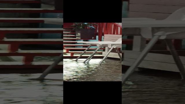 22e7809d098ae4fb072772c4259015f1