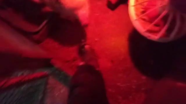 Метронидазол в клюв