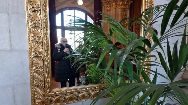 Что посмотреть в Вене? Мы попали в Городскую ратушу Австрия Вена