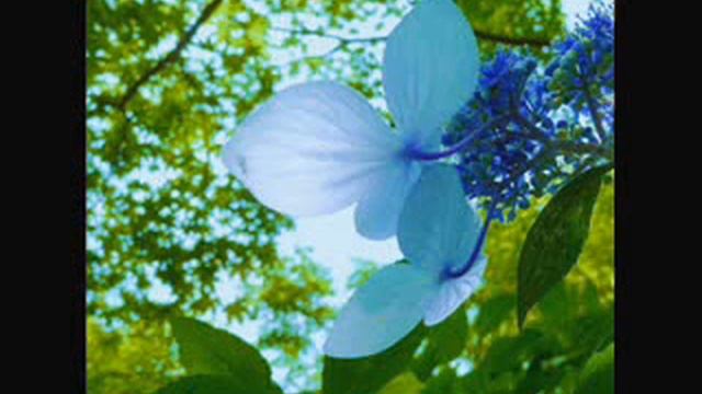 Хадисы Принято может быть только благое и дозволенное 1