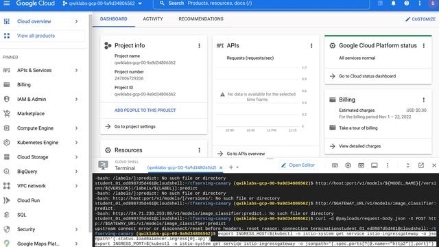 Implementing Canary Releases Of TensorFlow Model Deployments With Kubernetes And Istio