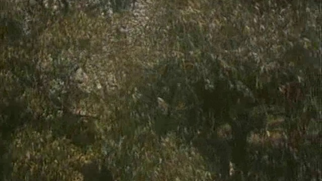 Памяти Алексея Фомкина