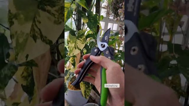 889107c6d28568e90b9d6b99d37c46be