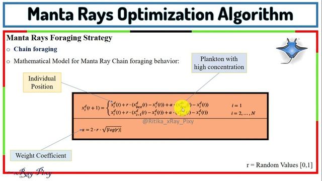 Learn Manta Ray Foraging Optimization (MRFO) Algorithm Step-by-Step Explanation ~xRay Pixy???