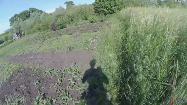 Не знал, что Нева так может окучивать картошку ...