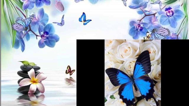 533d30394348c5e28704d4cdbf8672e1