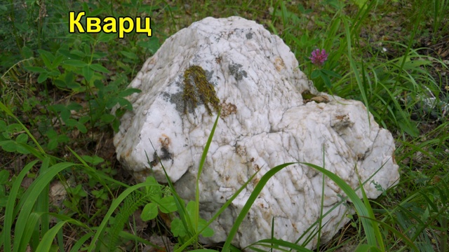 D86ff7e276284168737b6a6a3e96977a