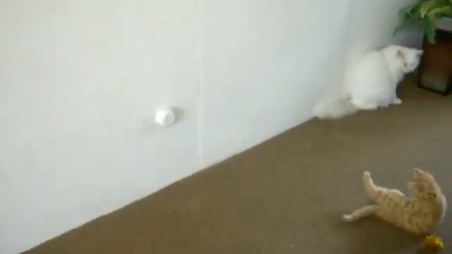 17-04-2008 Spelen Met Z'n Allen