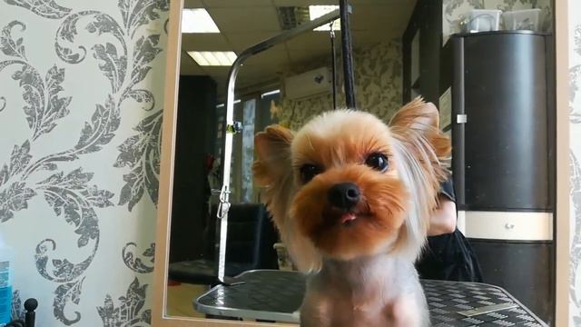 A388b12b15f420929f6f4cea0fe130c9