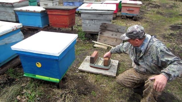 ЦВЕТЕНИЕ ВЕРБЫ, ПЧЁЛЫ НЕСУТ НЕКТАР И ПЫЛЬЦУ, ПОСТАНОВКА ВЕСОВ.???